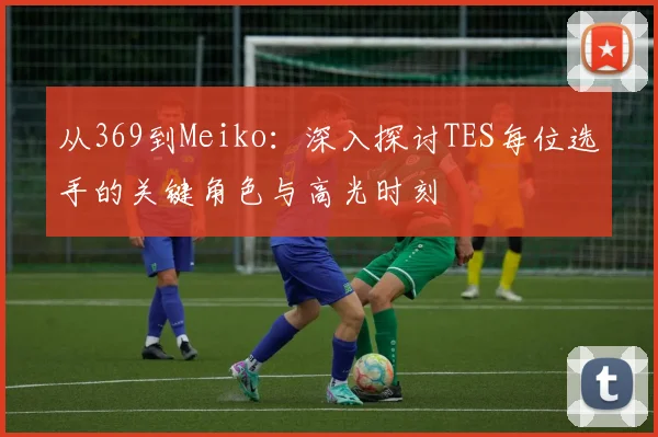 从369到Meiko:深入探讨TES每位选手的关键角色与高光时刻