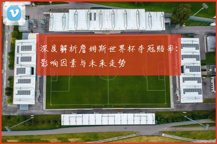 深度解析詹姆斯世界杯夺冠赔率:影响因素与未来走势