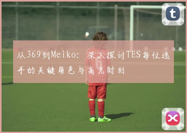 从369到Meiko:深入探讨TES每位选手的关键角色与高光时刻